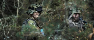 Finland och Sverige kan utgöra en fredad zon