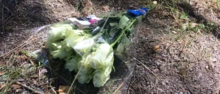 Nu startar utredningen om olyckan