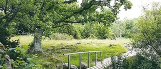 Nytt naturvårdsprogram för kommunen
