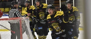 Stor genomgång av VH-spelarna