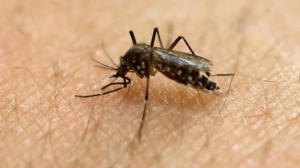 Priset på 500 000 kronor delas ut för den forskning som Joacim Rocklöv bedriver kring hur infektionsspridning förändras i takt med klimatförändringarna.