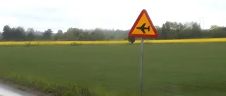Flygplan krockade med fåglar
