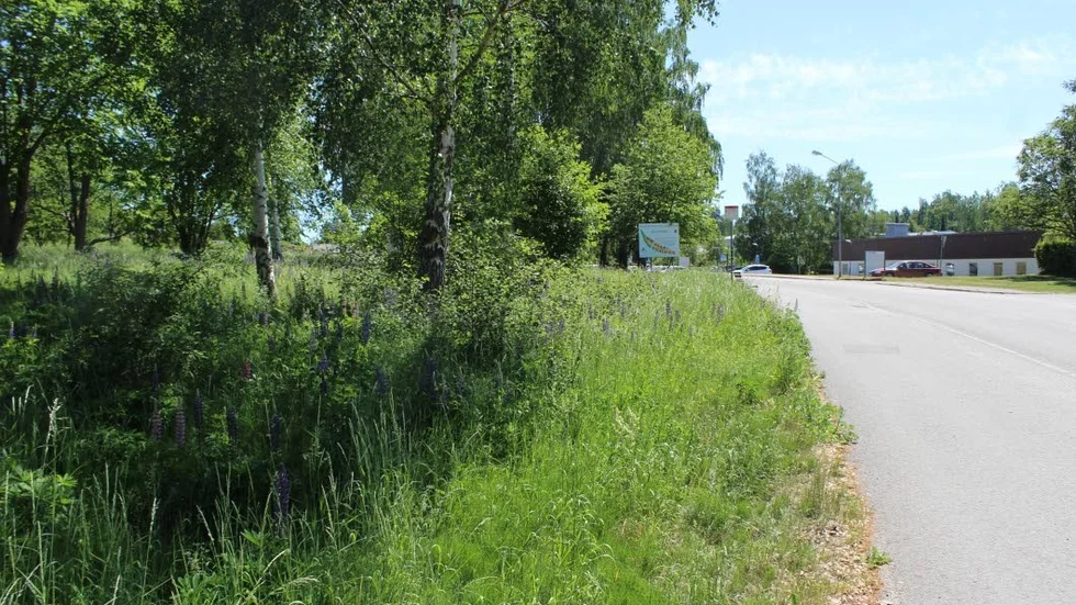 Här på Ingatorpsvägen vill kommunen att det bygga radhus eller parhus.