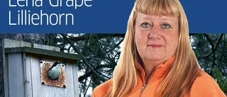 Bostadsbristen byggdes bort
