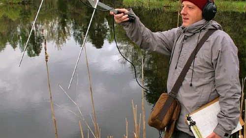 Här har Carl-Johan Månsson hittat en av de sändarförsedda fiskarna och lyssnar av hur pass långt bort fisken befinner sig. Foto: Anders Holm