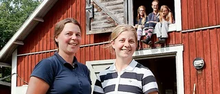 Lagtävling för de yngre