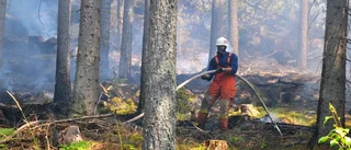 Omfattande skogsbrand i Ankarsrum