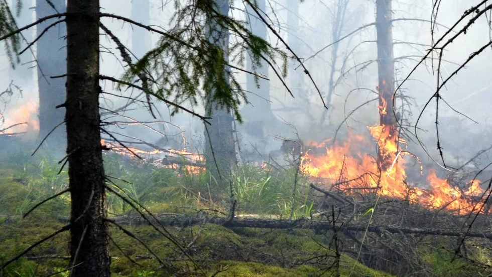 Räddningstjänsten uppmanar till stor försiktighet från allmänheten.