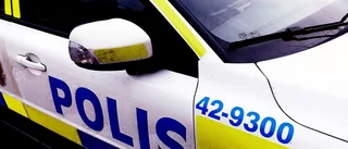 Tjuvar stal älgkött och röjsåg