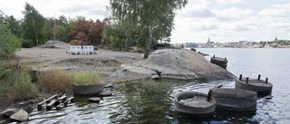 "Kommunen borde köpa roddklubben och Lögarebergen"