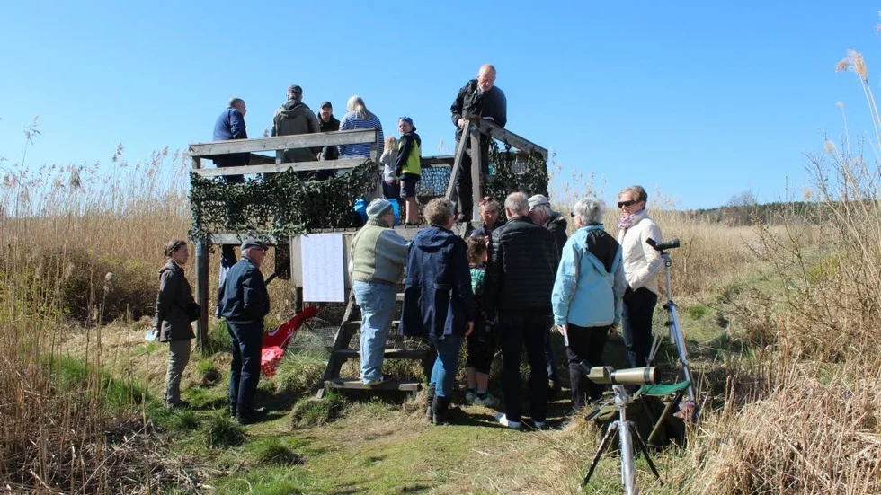 Fullt i tornet. Det var många som ville se hur ringmärkning gick till vid fågeltornet Brostugan, där Magnus Kasselstrand guidade besökarna.
