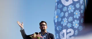 SD inger ingen respekt