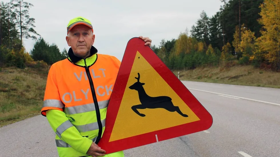 Varningsskylt. Eftersöksjägare Roger Lundberg i Gamleby med en skylt som varnar för korsande hjort. Olyckorna med hjort har ökat i kommunen.