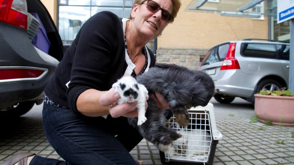 Annelie Daging på Slaka djurhem tog hand om de tolv kaninerna som hittades i en container.