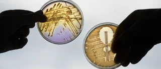 Vi måste äta mindre antibiotika