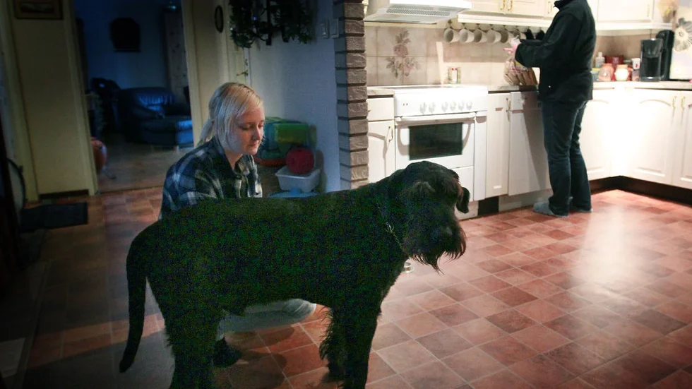Det händer att Madde lämnar garaget. Här i köket i hemmet tillsammans med doggen Erico och mamma Boel.
