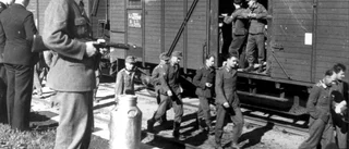 Klas Åmark: Sverige och nazismen - vetenskap på riktigt