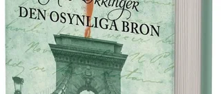 Julie Orringer: Den osynliga bron