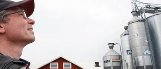 Hans höns blir ihjälskrämda