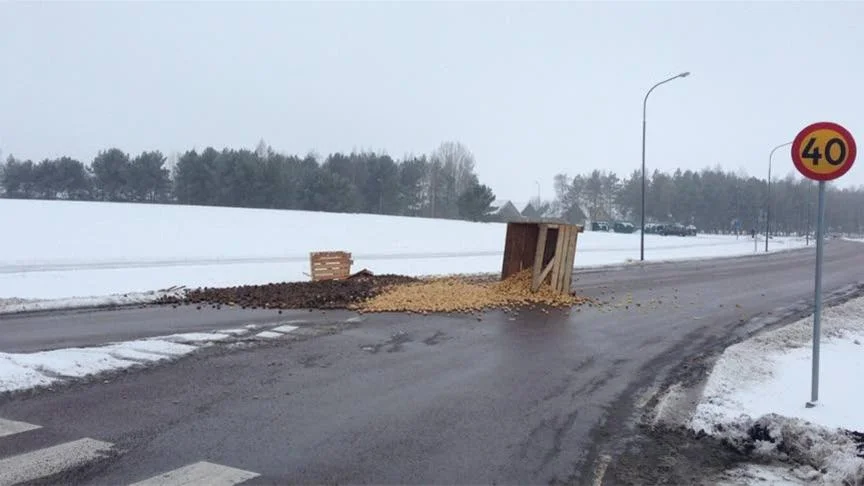 Potatis på Tivolivägen