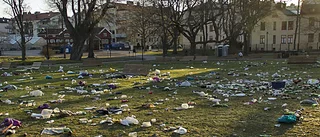 "En normal valborg"