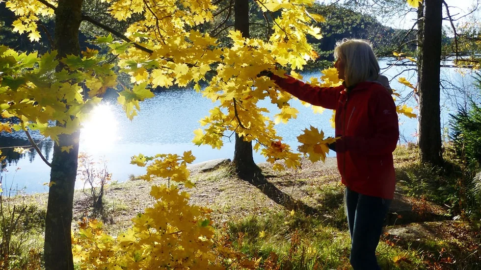 Det blir varmt och stundtals soligt i Östergötland den här veckan.