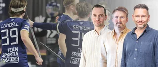 PANELEN: Det krävs för att Visby IBK ska vända underläget