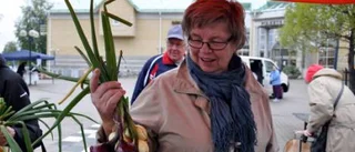 Populär torghandel i Kalix