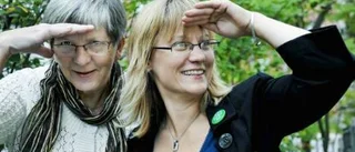 Sökes: Centerpolitiker
