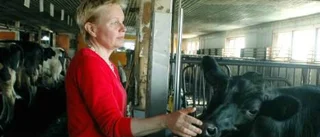 Företagaren ska få ett ansikte - ett kvinnligt