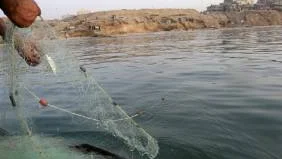 A Palestinian fisherman pulls up his net as he catches fish in the waters of the Mediterranean Sea, off the shore of Gaza City, Thursday, March 11, 2010. (AP Photo/Adel Hana)