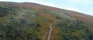 Mattor av plast ska rädda fjällnaturen
