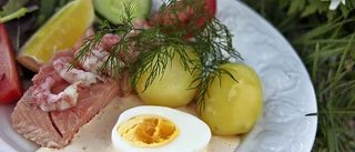 Inkokt lax - tacksam festfisk