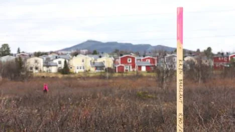Tung trafik kommer att passera 300 meter från villakvarteren enligt Trafikverkets förslag till ny dragning av Nikkaluoktavägen. Vägen är redan nu utstakad med käppar.