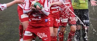 Här är GULD-laget