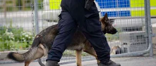 Hund spårade misstänkt tjuv