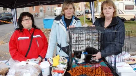 I lördags blev Kattakuten, här med försäljarna Annelie Hansson, Camilla Zerpe-Karlsson och Karin Johansson, bestulna på sin dagskassa på 3 000 kronor.FOTO: Lena Leffler