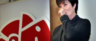 "Mona Sahlin har gjort ett bra jobb"