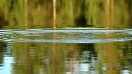 Sommarnattens vakringar ger drömmarna vingar.