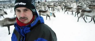 En ovanlig vinter för renskötseln