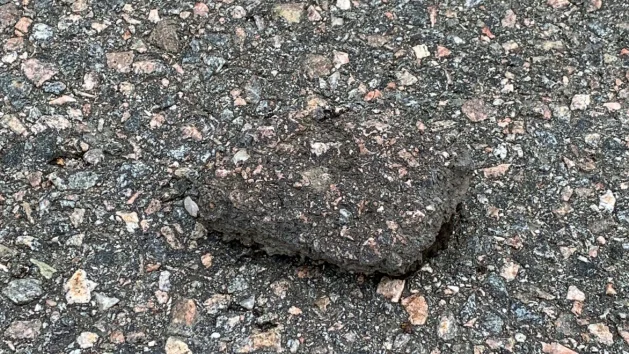 Stenarna landade i närheten av, men träffade aldrig, poliserna.
