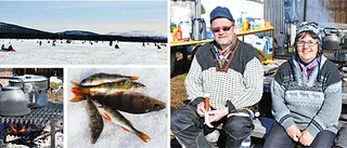 Solig pimpeltävling i Vettasjärvi