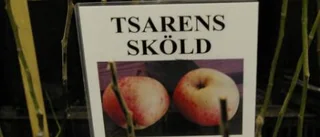 Överlevare för nordliga trädgårdar
