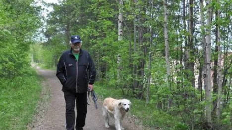 "Det är deprimerande när strövområden försvinner i Malmberget. Det är synd om människorna, ovissheten ger oro. Alla vill ha klara besked" säger Lars-Göran Hagström.