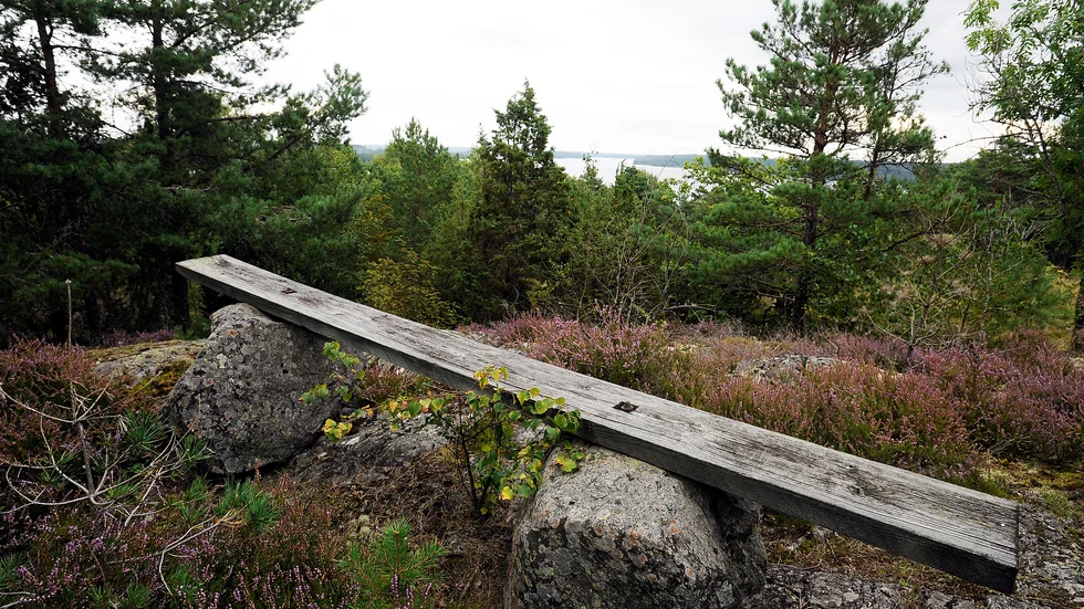 Insändarskribenterna är oroliga att allmänheten kommer att nekas tillträde till gångstråket upp på Långberget.