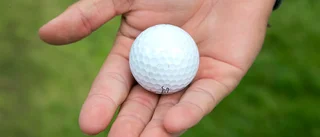 Linköping kan få golfgymnasium