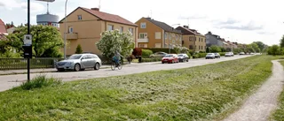 Lampstrul längs Tinnerbäcken