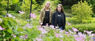 Sofia och Emma fixar gräsmattan