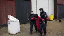 110526 - Nedre Vojakkala, Haparanda, Sverige.

Ett tiotal aktivister från miljöorganisationen Greenpeace grips av polisen, efter att i nästan en vecka blockerat en lagerbyggnad i Nedre Vojakkala i Tornedalen där den kontroversiella genmodifierade potatissorten Amflora förvaras. Aktivisterna kräver att företaget Plant Science Sweden, som ägs av tyska kemijätten BASF, stoppar sättningen mot bakgrund av undermålig riskbedömning av Amflora, samt den misslyckade och opålitliga kontrollen som omgärdar odlingen av den genmodifierade potatisen.

26 may 2011 - Haparanda, Sweden.

Activists from environmental organization Greenpeace being arrested by the police after almost a week of blockading a warehouse containing the controversial, genetically modified (GM) potato Amflora in the Vojakkala area of northern Sweden. The activists demand that Plant Science Sweden, a biotech company owned and controlled by German chemical giant BASF, stop all plans to resume cultivation of Amflora, referring to substandard, biased risk