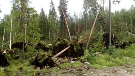 46706950131 Foto: Johan Engman, Rosvik. Bilden tagen mellan Sjulsmark och Norrfjärden.